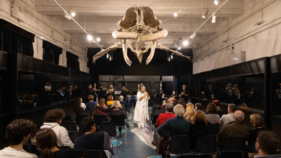 Museo Zoologia Brassense - Musei in Musica (Foto Monkeys Video Lab)