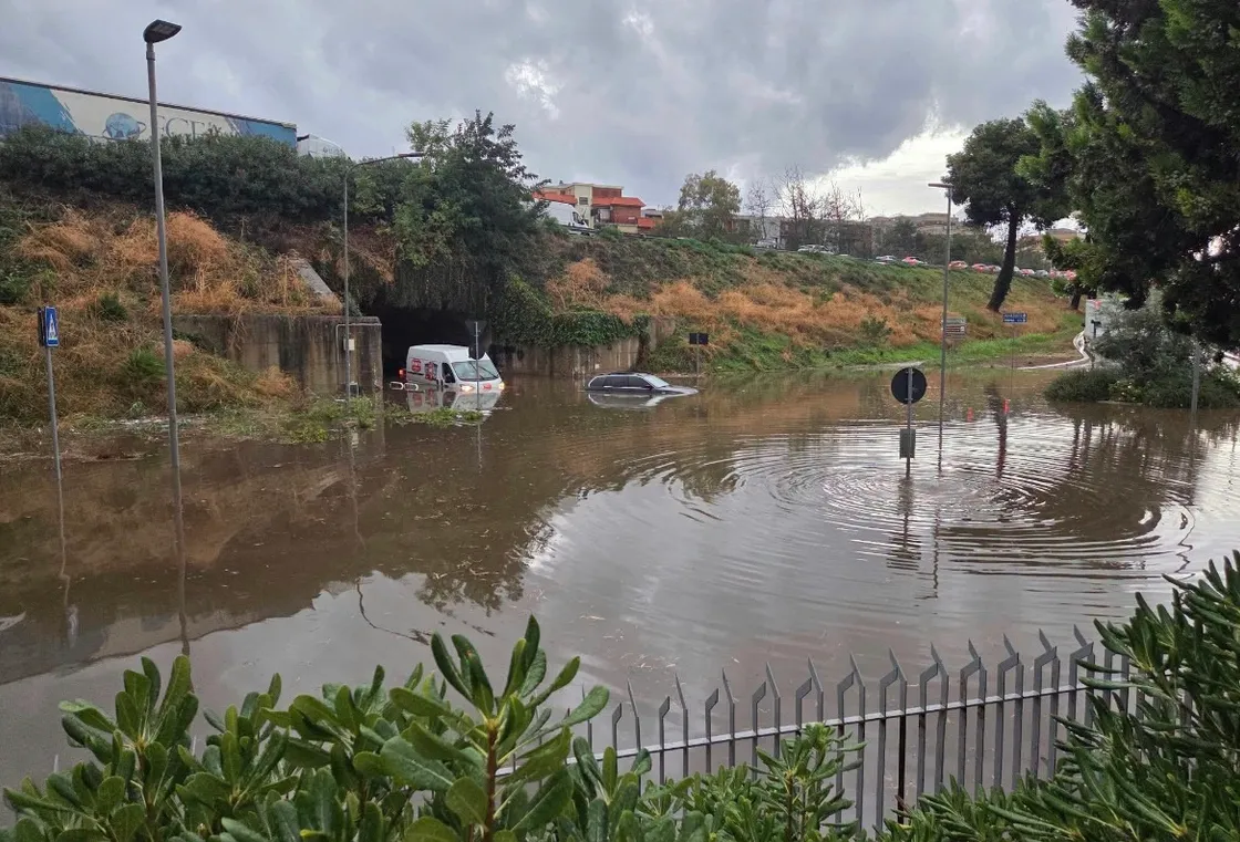 Foto di Marco Palma