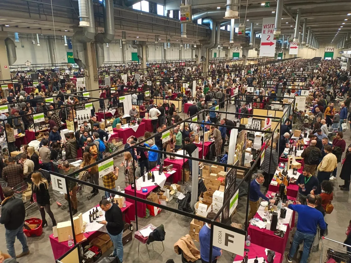 I vini del Lazio in vetrina a Bologna: 28 cantine protagoniste a Slow Wine