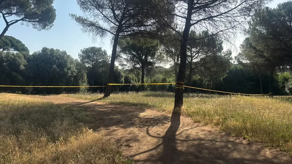 Villa Pamphilij, il Dna conferma: Francis Kaufmann è il padre della piccola Andromeda