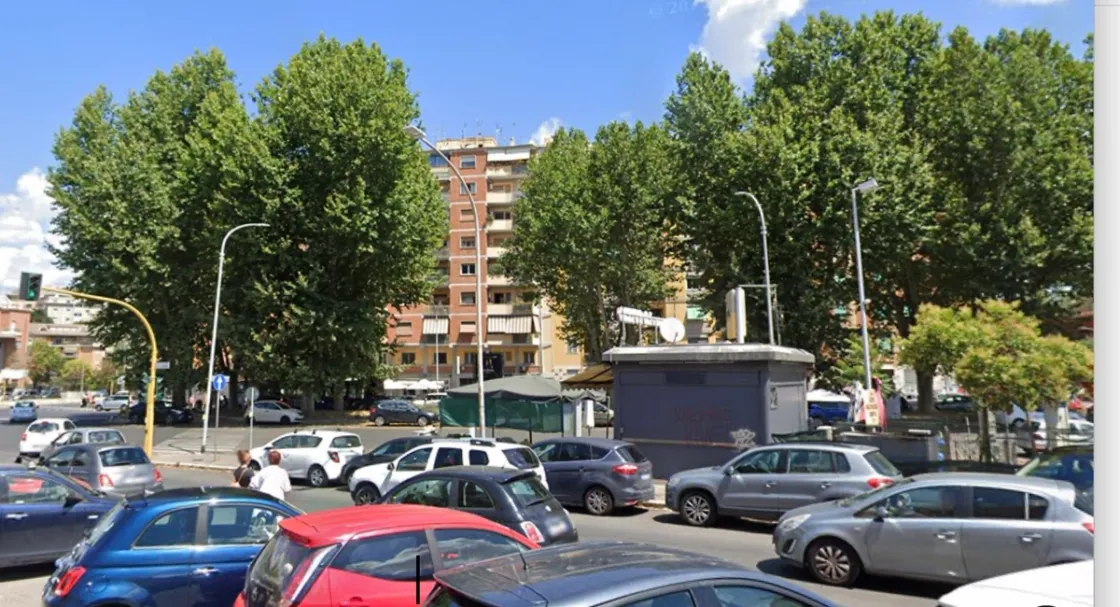 Il segnale d'allarme per allontanare gli uccelli, ecco il metodo utilizzato per piazzale Jonio