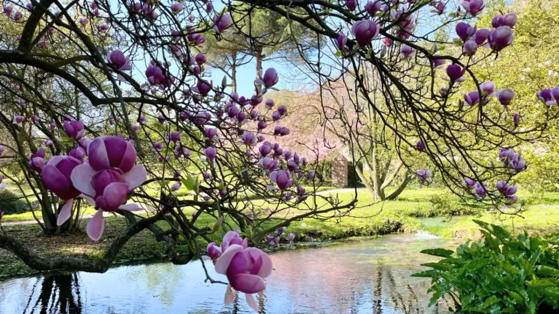 Il giardino di Ninfa (Fonte: Visit Lazio)