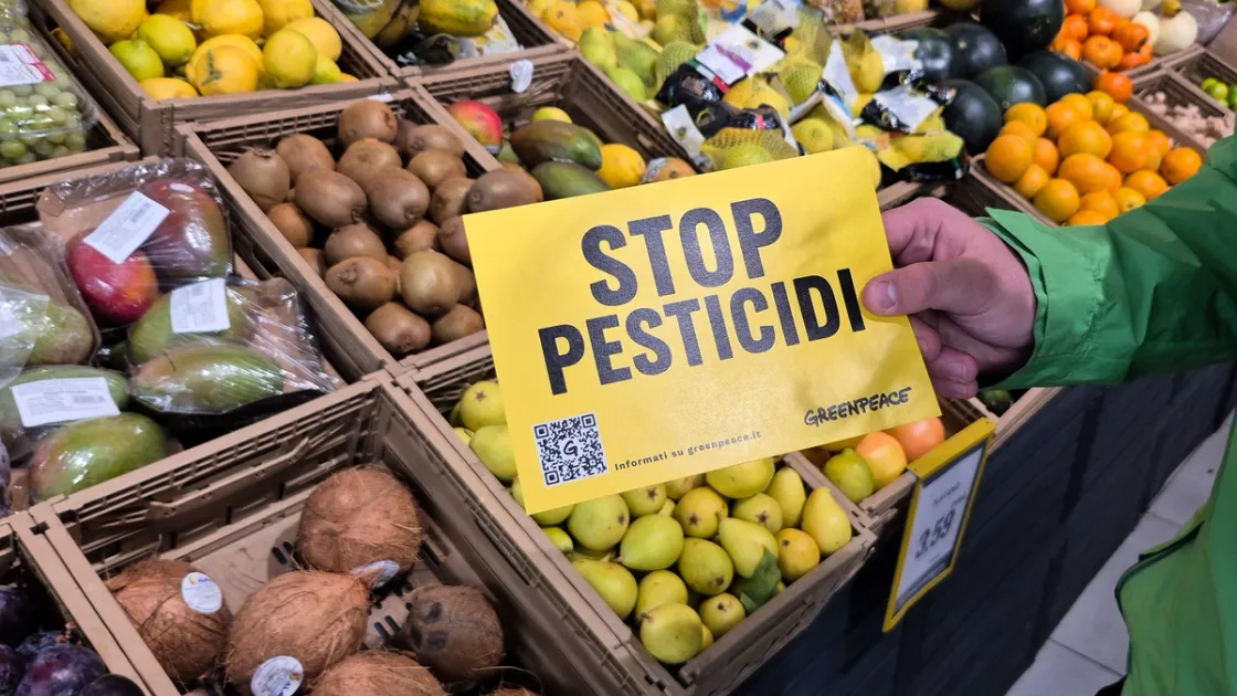 Pesticidi, volontari di Greenpeace nei supermercati di Roma: «Più tutele per salute e ambiente» [VIDEO]