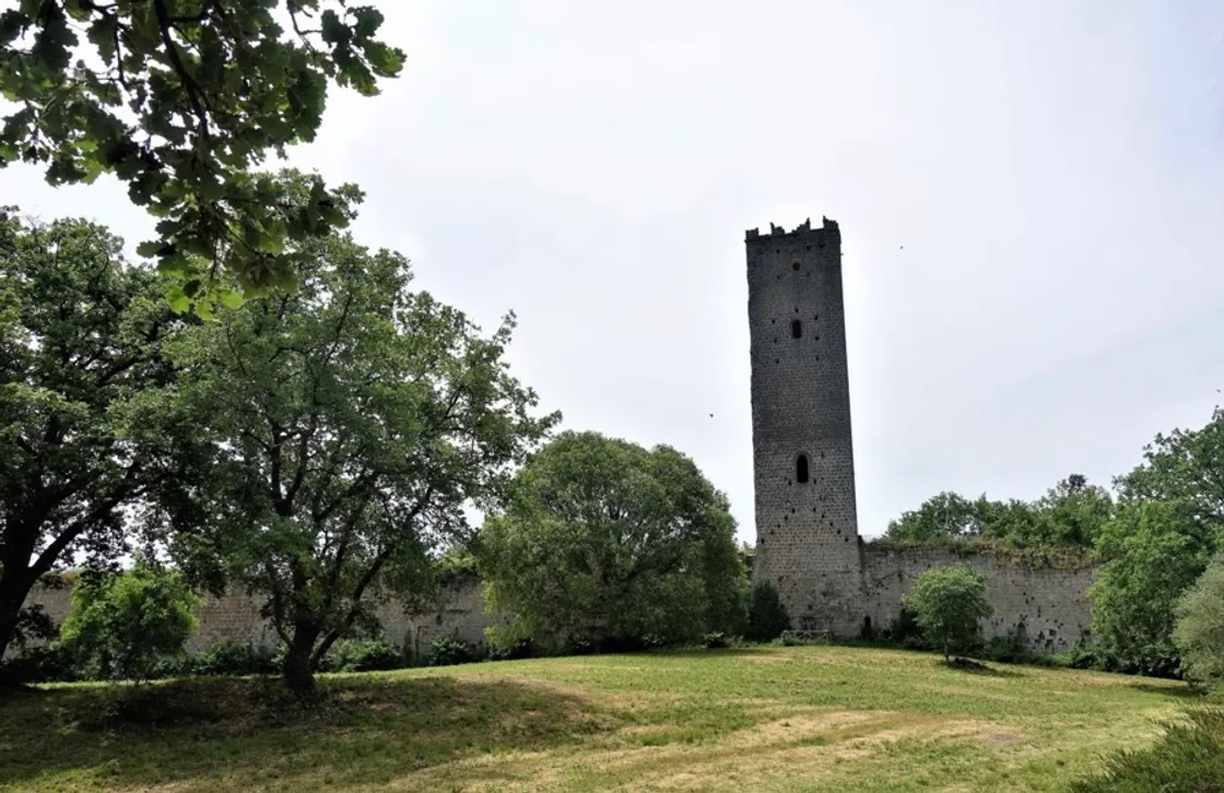 «Grottesco lo sfratto di Gallinari»: Dacia Maraini difende la Torre di Pasolini a Chia