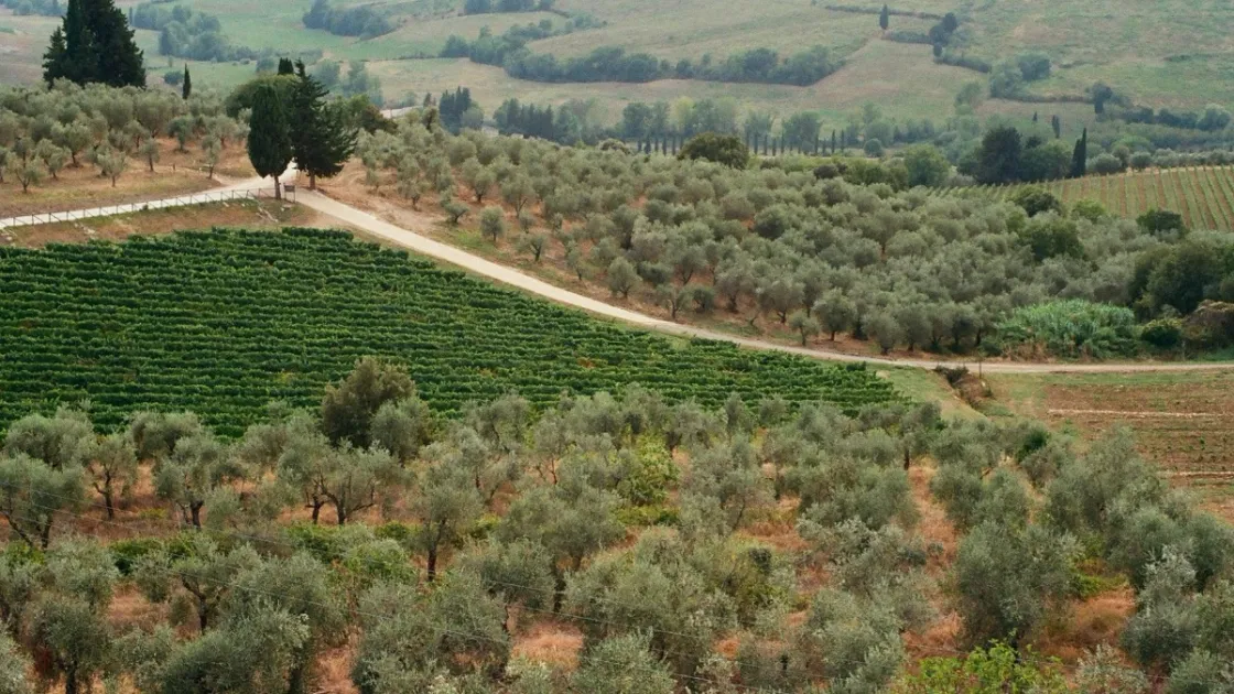 Agroalimentare Made in Italy, il 20 aprile in Campidoglio il primo Forum Agronetwork