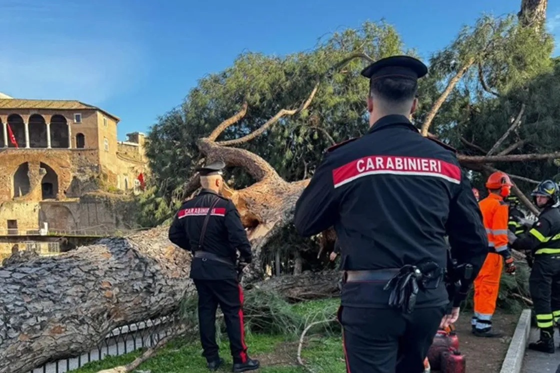 Fori Imperiali, riapertura totale dal 23 febbraio dopo gli abbattimenti