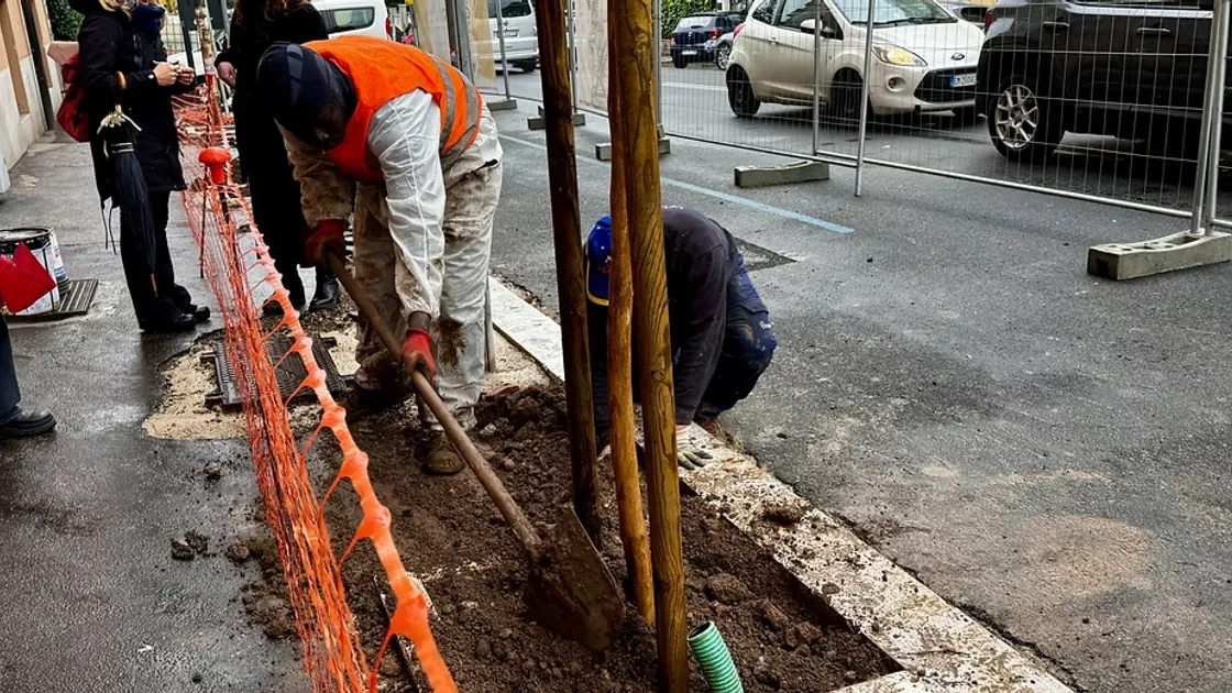 Forestazione lineare: da piazza Pitagora parte il progetto per 509 nuovi alberi nel II municipio