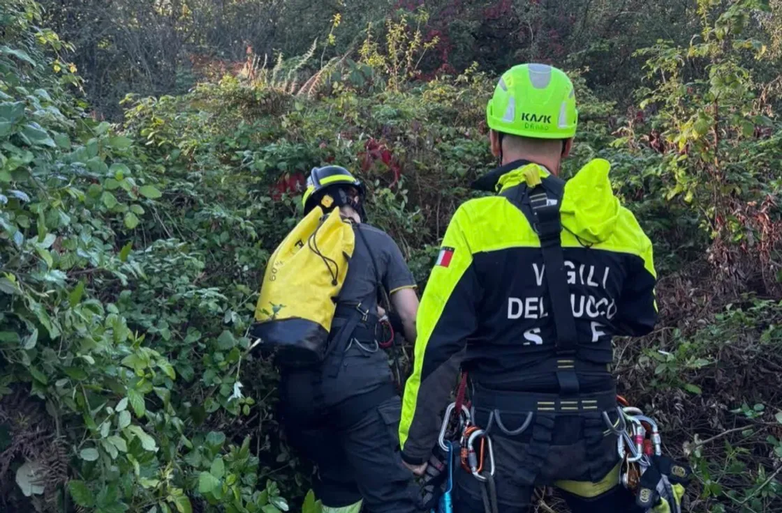 Cade in una voragine piena di rovi alla Caffarella: salvato dai vigili del fuoco