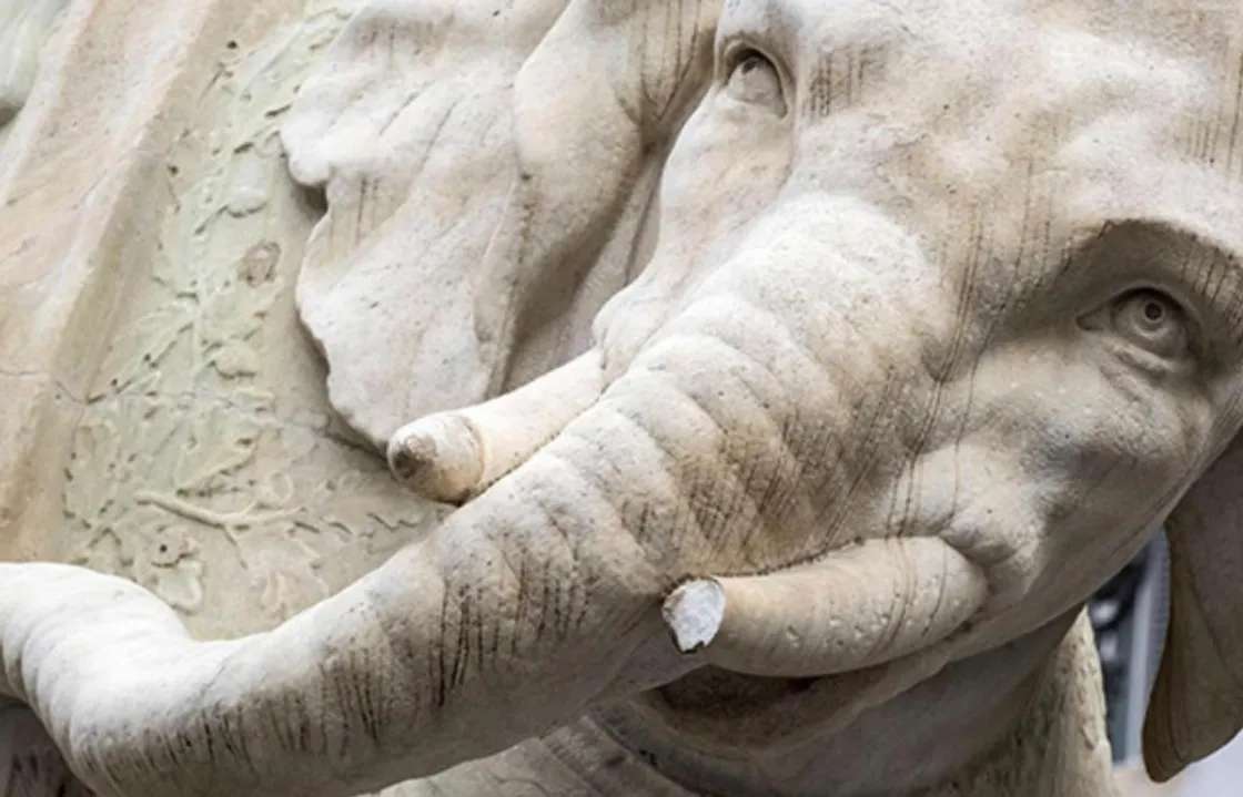 Il danno fatto all’Elefante del Bernini, attualmente restaurato