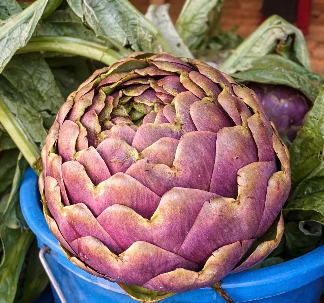 Sagra del carciofo a Ladispoli: attese migliaia di persone da Roma, Trenitalia attiva quattro treni speciali 