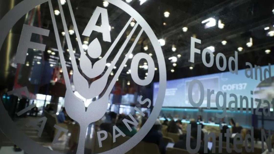 L’evento “Innovations in Aquaculture Production” alla sede della FAO di Roma, l’8 settembre 2026. Foto Xinhua/Li Jing