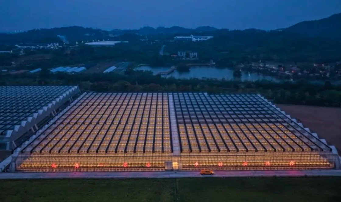 Una foto aerea, scattata da un drone il 27 ottobre 2026, mostra una veduta notturna di una serra intelligente in un parco industriale scientifico e tecnologico agricolo nel distretto di Jindong, nella città di Jinhua, nella provincia orientale cinese dello Zhejiang. Foto agenzia Xinhua