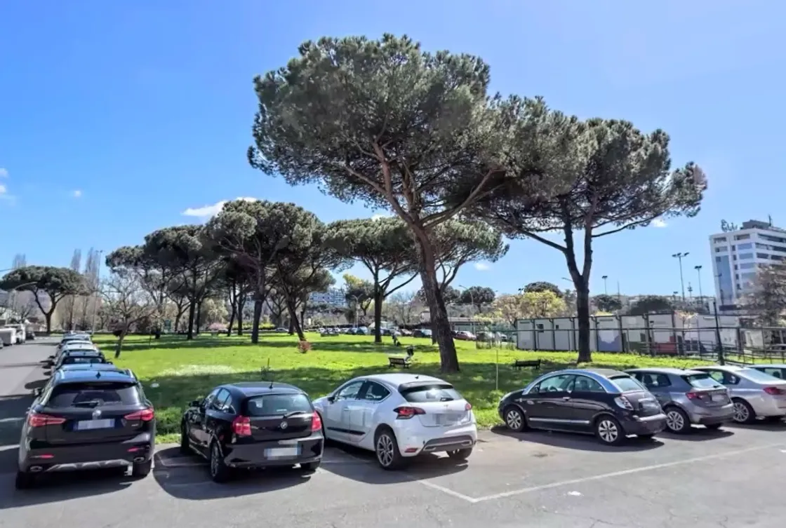 Municipio VIII, al via i lavori in via Tito: l’area verde rinasce con nuovi alberi, percorsi e spazi di socialità