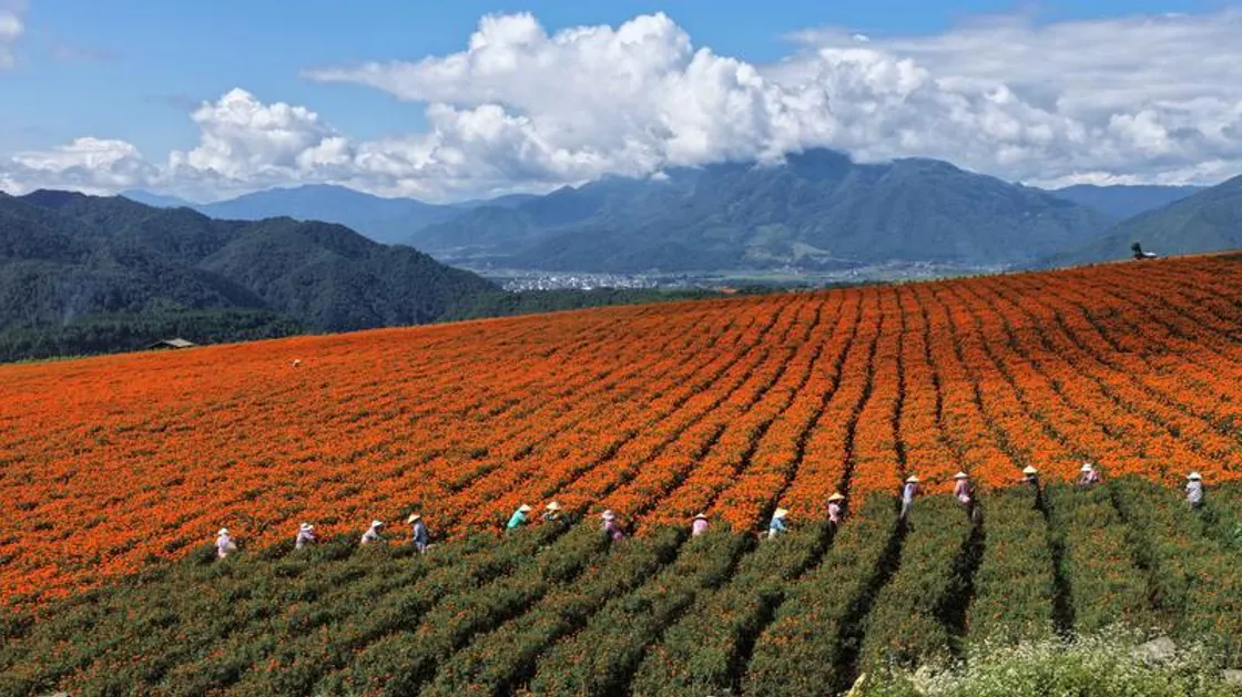 Fonte immagine: Agenzia Xinhua
