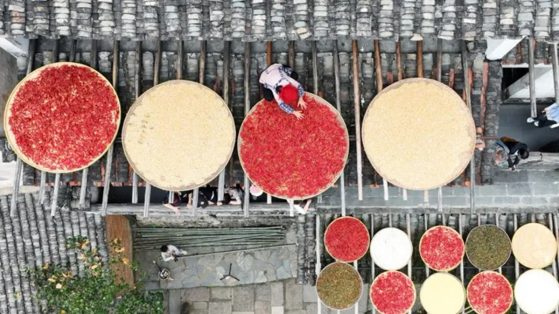 Una veduta aerea mostra Cao Fudi mentre dispone i raccolti ad essiccare al sole nell’area panoramica di Huangling, nel Jiangxi, il 22 settembre 2026. Foto agenzia Xinhua
