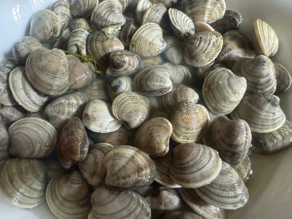 Fiumicino, pesce di «dubbia provenienza» ritirato dal mercato: sequestrati oltre 50 kg di prodotti ittici 