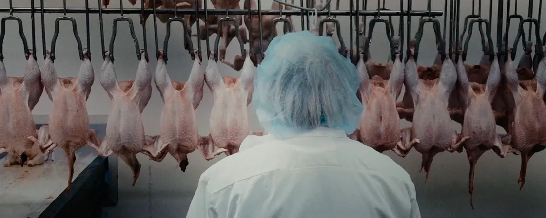 «How to Feed the Planet», il documentario sulla guerra per il cibo