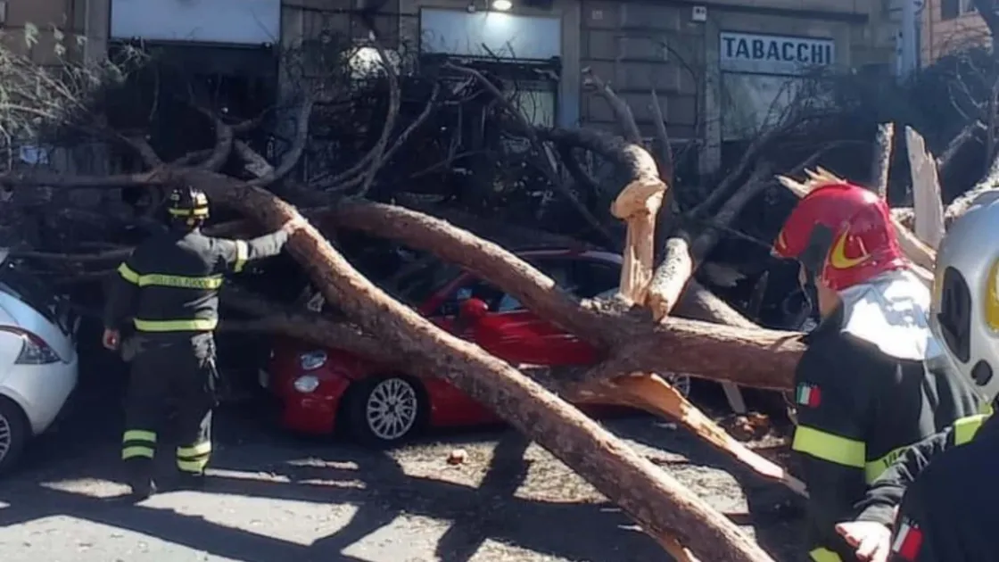 San Lorenzo, albero cade in via Tiburtina: due feriti, uno è grave