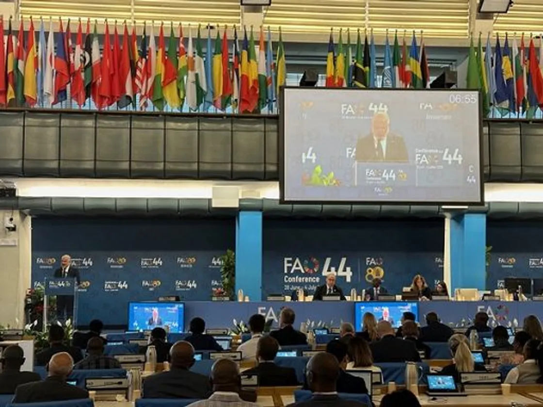 Roma capitale dell’agroalimentare globale: al via tra eventi Fao, World Food Forum e l'Expo «Dal Seme al Cibo»