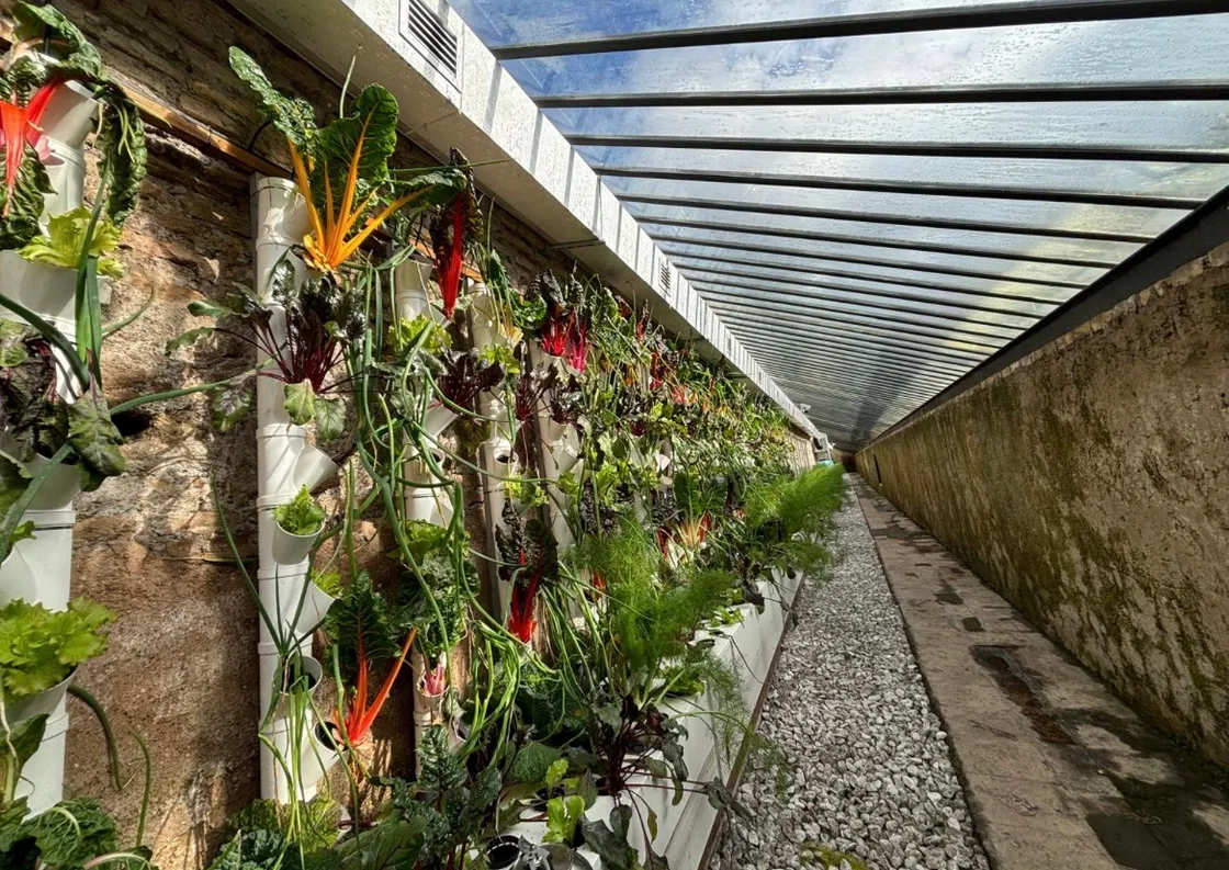 A Villa Pamphilj torna l’anima contadina di Roma: due giorni tra orti, degustazioni e memoria