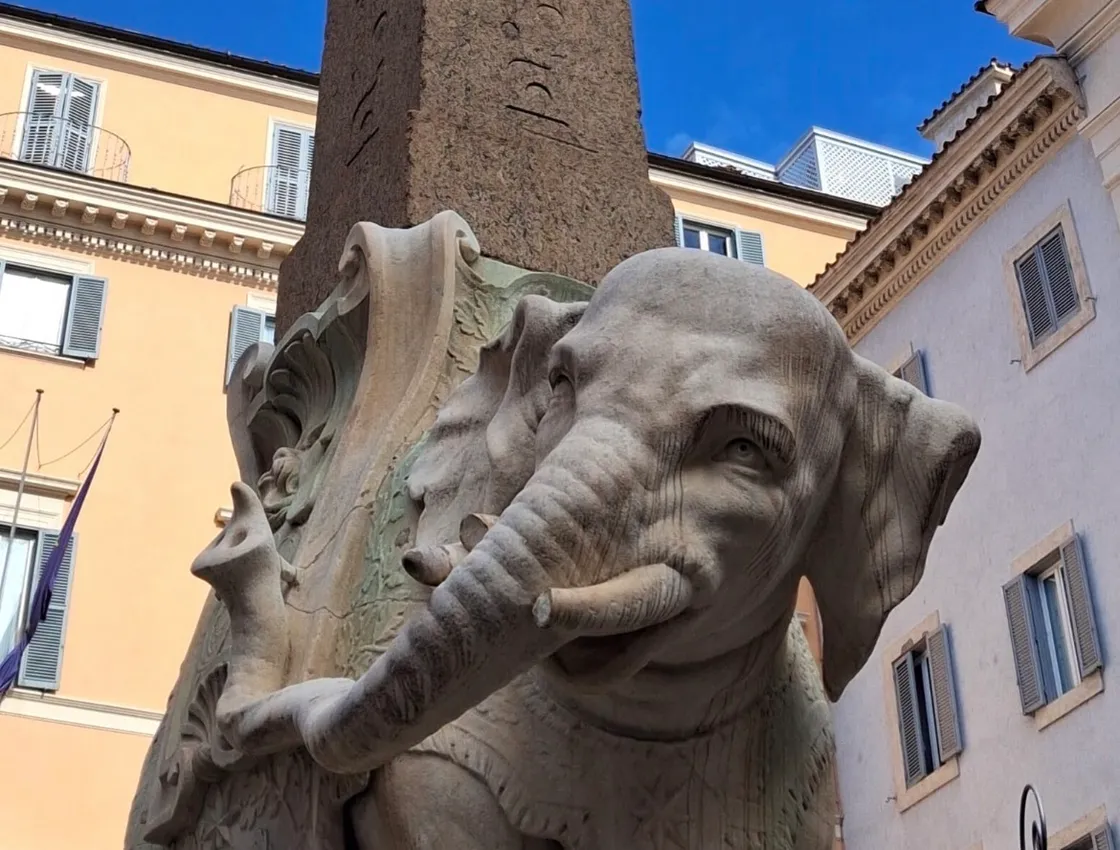 Elefantino della Minerva, zanna danneggiata: al via il ripristino