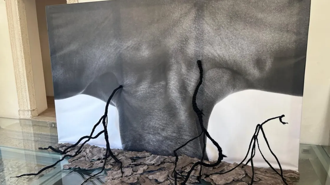 A Villa Altieri “Soil Art Tales”, la mostra sul legame tra suolo, acqua e vita