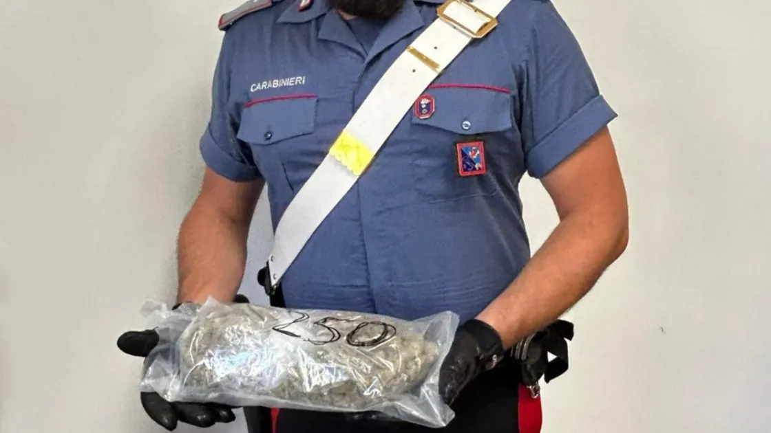 Droga a Roma, controlli dei carabinieri tra movida e periferie: 12 arresti e quasi 5 chili sequestrati