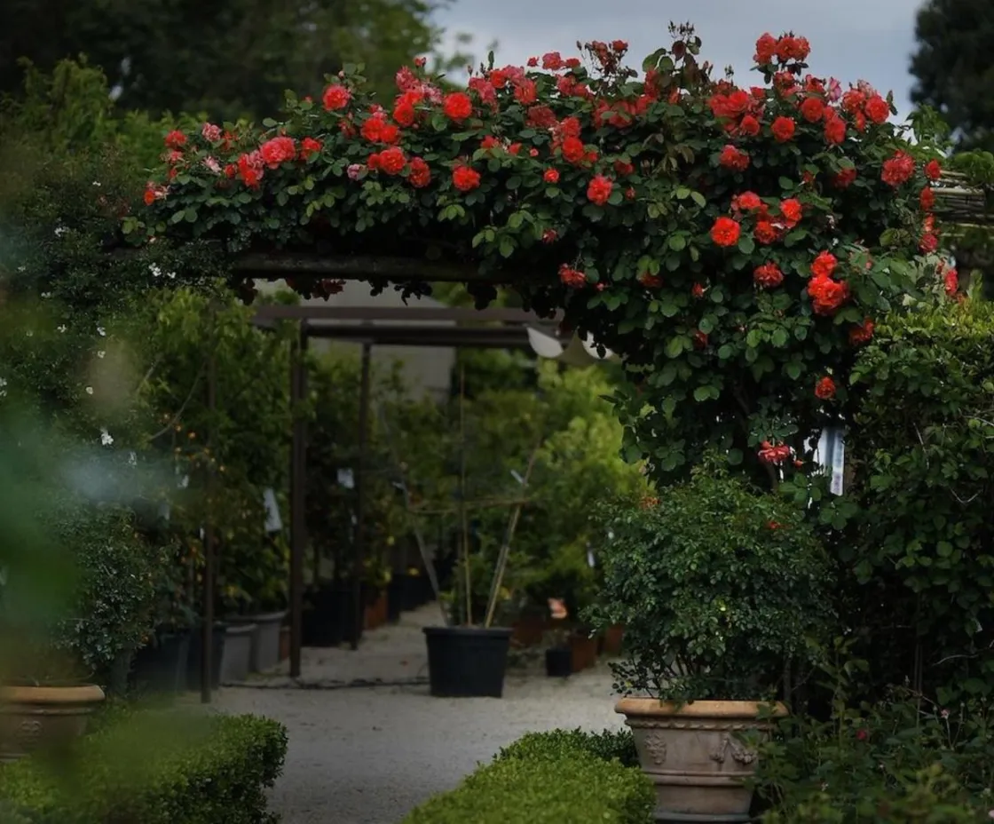(Horti di Veio)