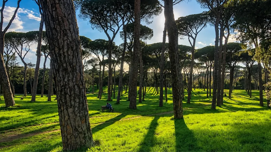 La Città metropolitana di Roma vuole piantare 800mila nuovi alberi: quelli che non attecchiscono saranno sostituiti