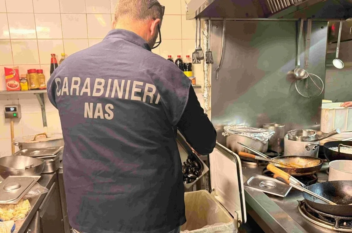 Controlli a Cornelia: sequestrati 1.250 kg di alimenti e chiusi due ristoranti