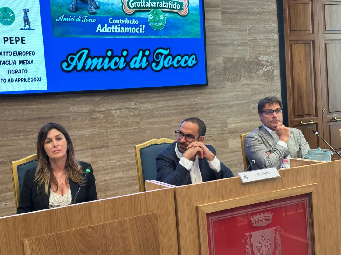 Randagismo e tutela degli animali, dalla Città metropolitana di Roma 100mila euro per 21 progetti nei Comuni
