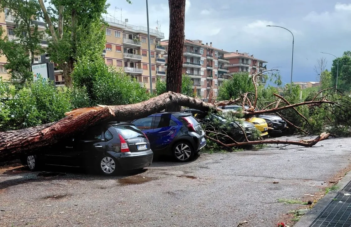 Tromba d’aria nel III municipio, Gualtieri: «Fenomeno estremo con raffiche oltre i 100 km orari»