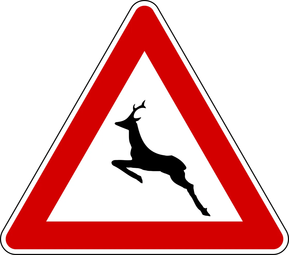 Lazio terzo in Italia per incidenti gravi con animali