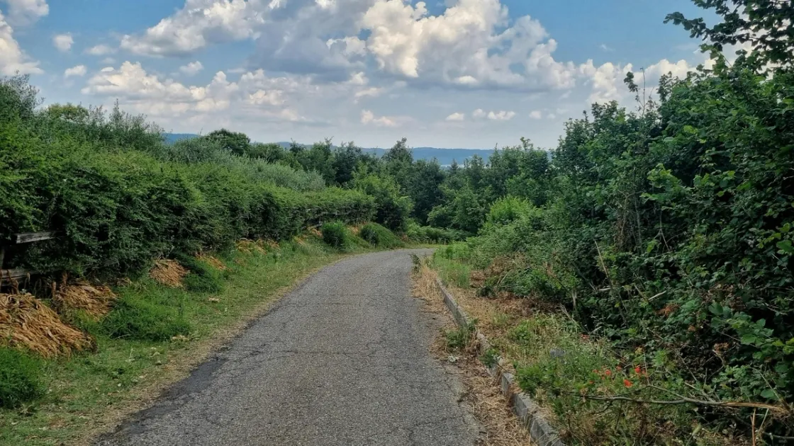 Immagine di repertorio