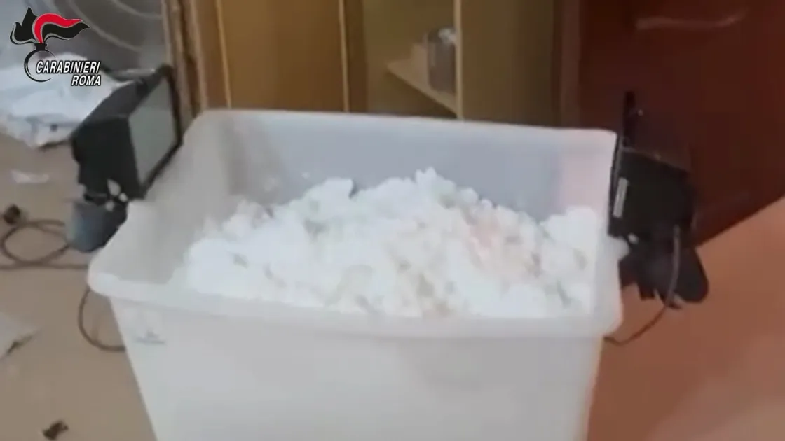 Narcotraffico, scoperto traffico di cocaina dal Sud America al Lazio. La raffineria in Calabria