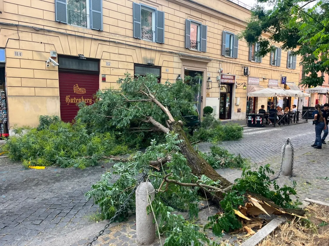 Foto di Francesco Carpano