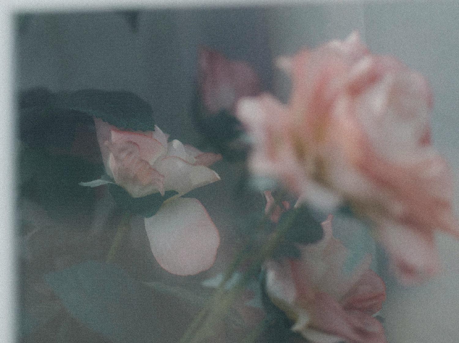 Soft floral background