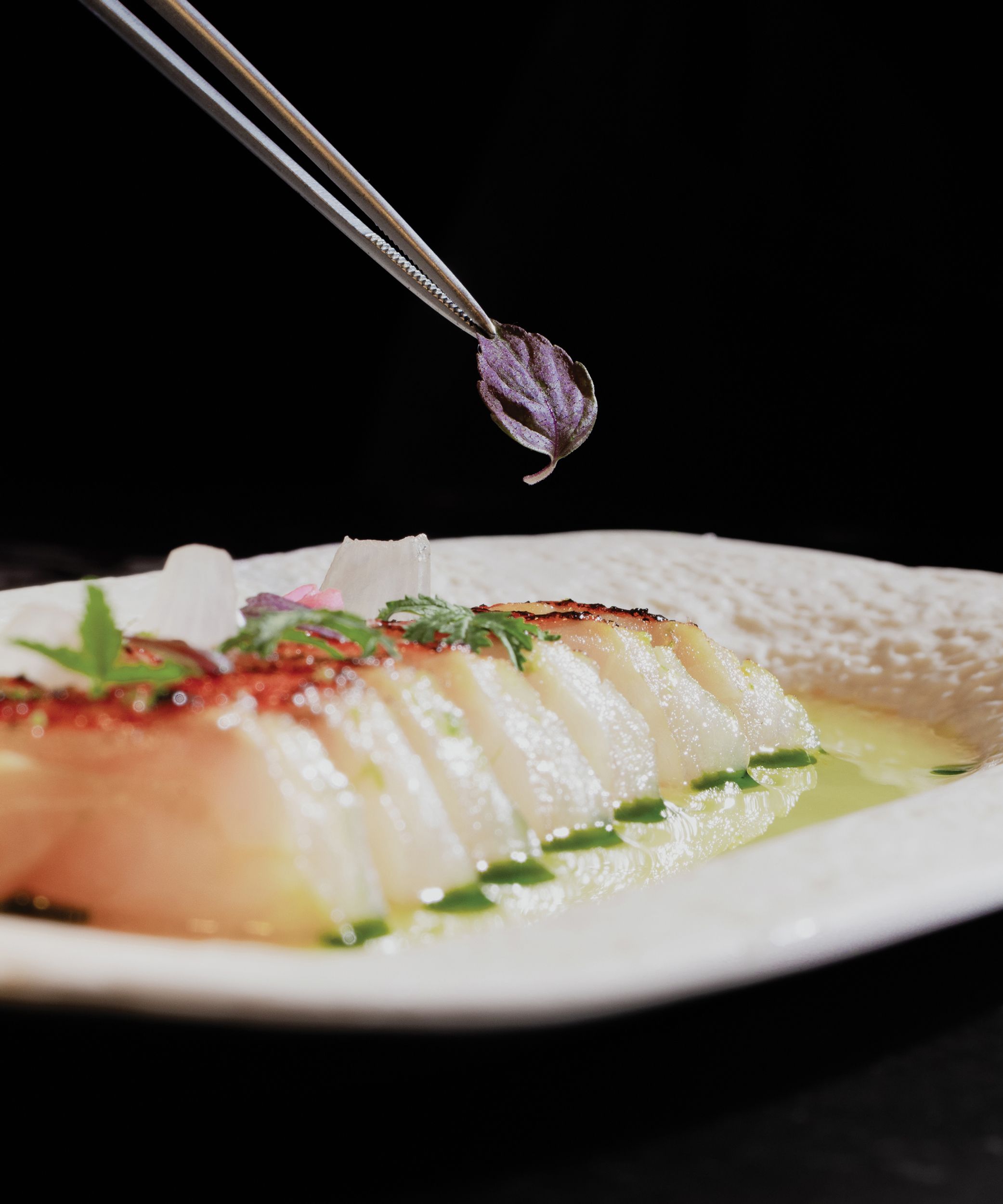 Ritz-Carlton Residences South Beach