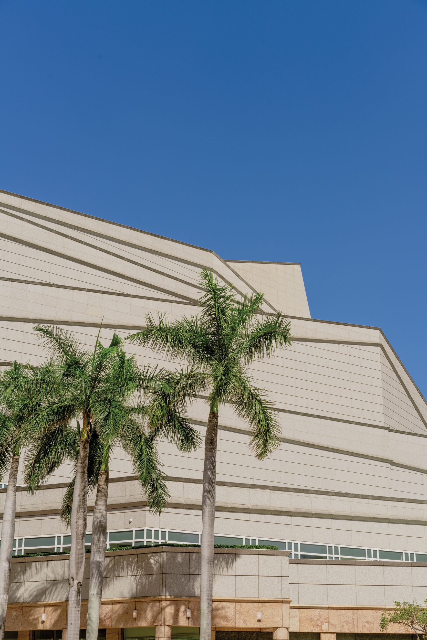 palm trees in front of building facade