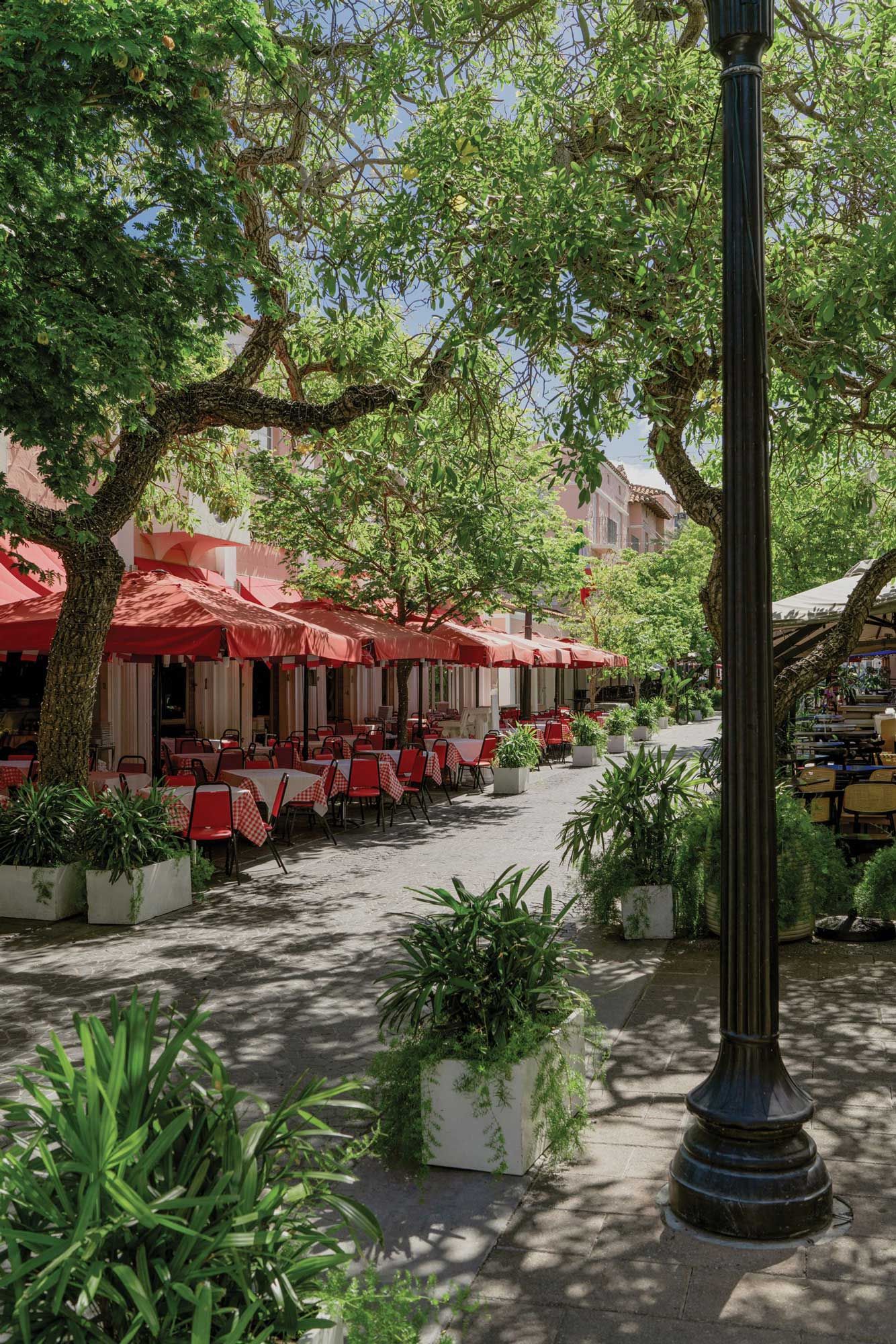 Dining along Española Way