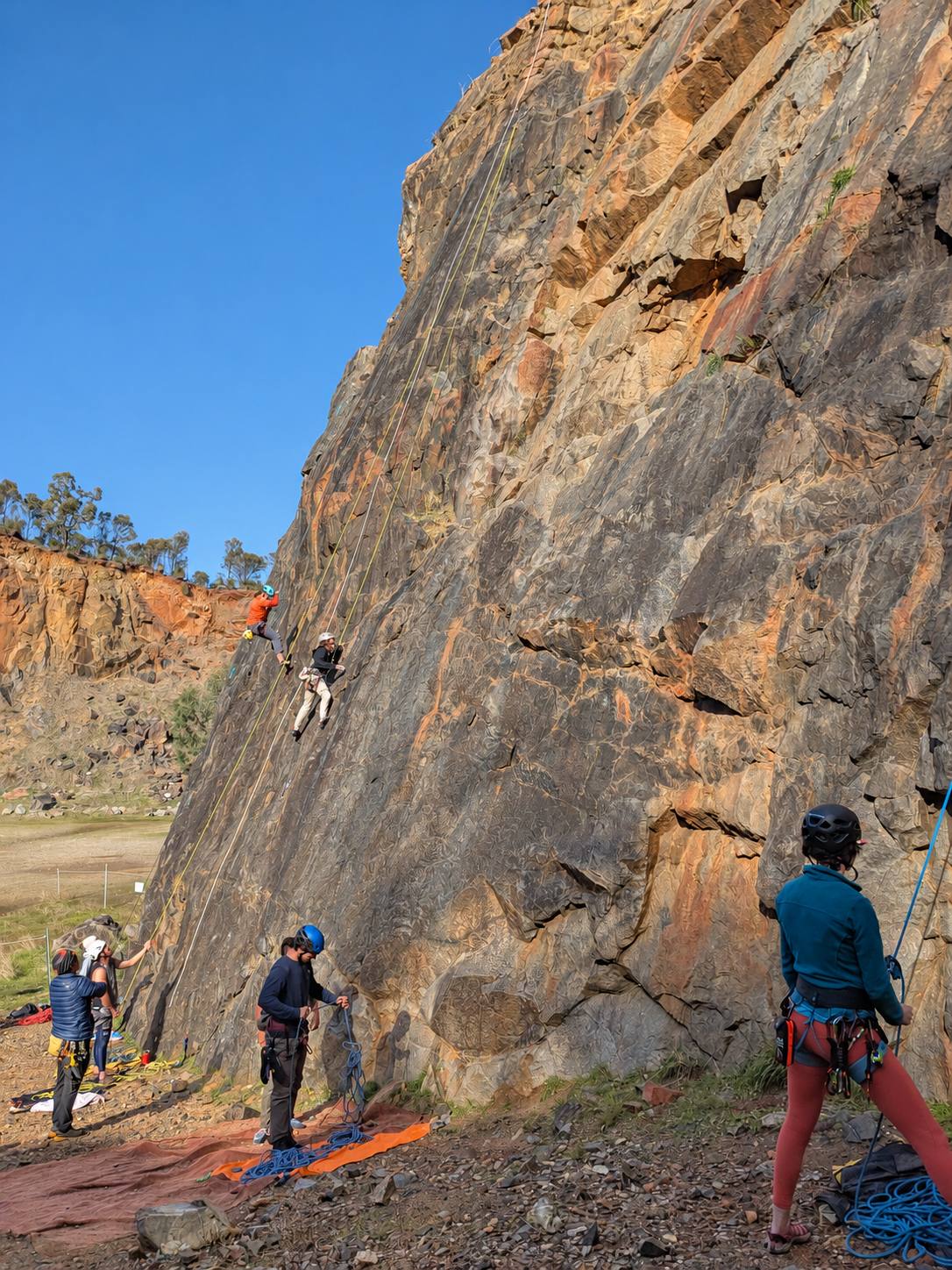 A group session at a sunny quarry wall: two climbers on top ropes and belayers at the base.