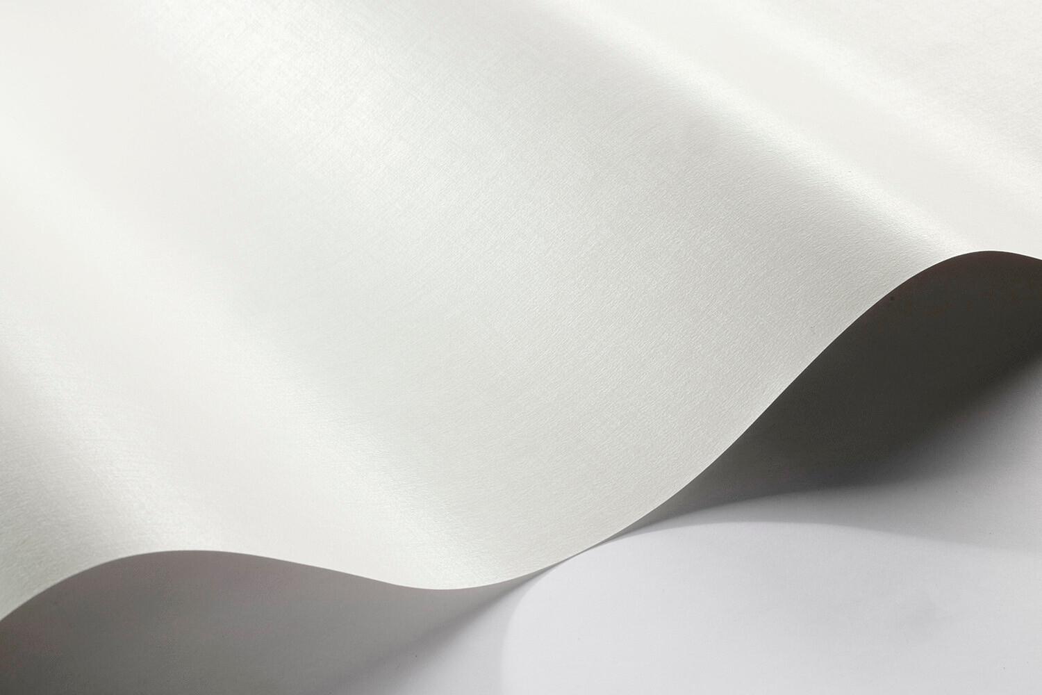 Borosan 21 8634 tapet enfärgad i vit. Från kollektionen Borosan 21. Papper-material.