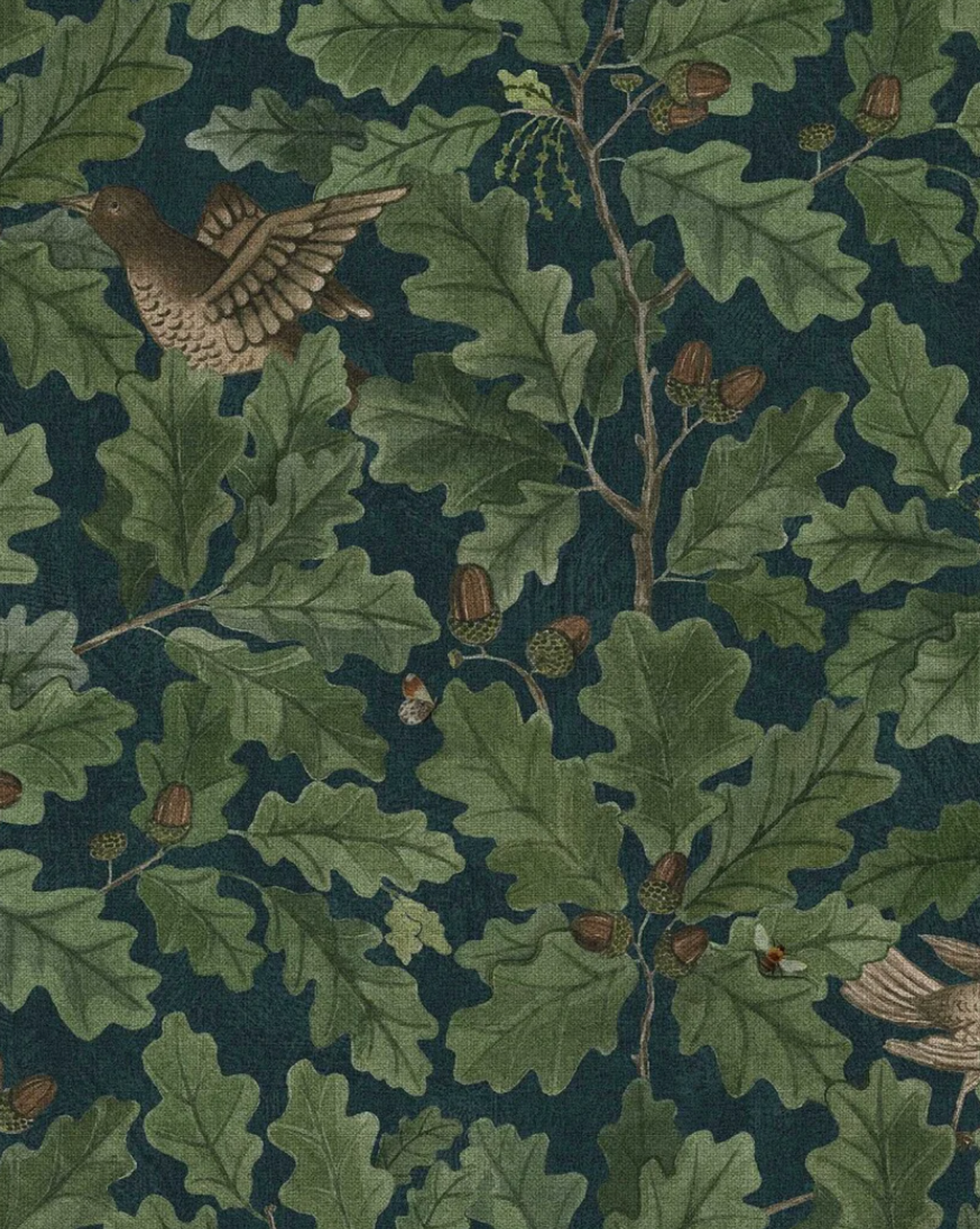 Vintage-style pattern of oak leaves, acorns, and flying birds on a dark background.​​​​‌﻿‍﻿​‍​‍‌‍﻿﻿‌﻿​‍‌‍‍‌‌‍‌﻿‌‍‍‌‌‍﻿‍​‍​‍​﻿‍‍​‍​‍‌﻿​﻿‌‍​‌‌‍﻿‍‌‍‍‌‌﻿‌​‌﻿‍‌​‍﻿‍‌‍‍‌‌‍﻿﻿​‍​‍​‍﻿​​‍​‍‌‍‍​‌﻿​‍‌‍‌‌‌‍‌‍​‍​‍​﻿‍‍​‍​‍‌‍‍​‌﻿‌​‌﻿‌​‌﻿​​‌﻿​﻿​﻿‍‍​‍﻿﻿​‍﻿﻿‌﻿‌﻿‌﻿‌﻿‌﻿‌﻿​‍﻿‍‌‍​﻿‌‍﻿﻿‌‍﻿​‌‍﻿﻿‌﻿​‍‌‍​‌‌‍﻿‌‌‍​‌​‍﻿‍‌﻿​﻿‌‍‌‌​‍﻿﻿‌﻿​﻿‌﻿‌​‌﻿‌‌‌‍‌​‌‍‍‌‌‍﻿﻿​‍﻿﻿‌‍‍‌‌‍﻿‍‌﻿‌​‌‍‌‌‌‍﻿‍‌﻿‌​​‍﻿﻿‌‍‌‌‌‍‌​‌‍‍‌‌﻿‌​​‍﻿﻿‌‍﻿‌‌‍﻿﻿‌‍‌​‌‍‌‌​﻿﻿‌‌﻿​​‌﻿​‍‌‍‌‌‌﻿​﻿‌‍‌‌‌‍﻿‍‌﻿‌​‌‍​‌‌﻿‌​‌‍‍‌‌‍﻿﻿‌‍﻿‍​﻿‍﻿‌‍‍‌‌‍‌​​﻿﻿‌​﻿‌‌​﻿​﻿​﻿‌​​﻿‍‌​﻿‌​​﻿​‍​﻿​﻿‌‍​‍​‍﻿‌​﻿‌‍‌‍‌​​﻿‌﻿​﻿‍​​‍﻿‌​﻿‌​‌‍​‌​﻿​‍​﻿​‌​‍﻿‌​﻿‍​‌‍‌​‌‍​‌‌‍​‍​‍﻿‌​﻿​‌​﻿​‌‌‍​﻿​﻿‍‌​﻿​​​﻿‌﻿​﻿‌‍​﻿‍‌​﻿‌​​﻿‌‌​﻿​﻿​﻿​﻿​﻿‍﻿‌﻿‌​‌﻿‍‌‌﻿​​‌‍‌‌​﻿﻿‌‌‍​﻿‌‍﻿﻿‌‍﻿‍‌﻿‌​‌‍‌‌‌‍﻿‍‌﻿‌​‌‌​​‌‍​‌‌‍‌﻿‌‍‌‌​﻿‍﻿‌﻿​​‌‍​‌‌﻿‌​‌‍‍​​﻿﻿‌‌‍​﻿‌‍﻿﻿‌‍﻿‍‌﻿‌​‌‍‌‌‌‍﻿‍‌﻿‌​‌​​‍‌‍﻿​‌‍﻿﻿‌‍​﻿‌‍‍﻿‌﻿​﻿​‍‌‌​﻿‌‌‌​​‍‌‌﻿﻿‌‍‍﻿‌‍‌‌‌﻿‍‌​‍‌‌​﻿​﻿‌​‌​​‍‌‌​﻿​﻿‌​‌​​‍‌‌​﻿​‍​﻿​‍‌‍​﻿‌‍‌​‌‍‌‍​﻿‌﻿​﻿​‍​﻿​‌​﻿​​‌‍​‍​﻿‌﻿‌‍‌‍‌‍‌‍​﻿‌‌​‍‌‌​﻿​‍​﻿​‍​‍‌‌​﻿‌‌‌​‌​​‍﻿‍‌‍‍‌‌﻿‌​‌‍‌‌‌‍﻿‌‌﻿​﻿​‍‌‌​﻿‌‌‌​​‍‌‌﻿﻿‌‍‍﻿‌‍‌‌‌﻿‍‌​‍‌‌​﻿​﻿‌​‌​​‍‌‌​﻿​﻿‌​‌​​‍‌‌​﻿​‍​﻿​‍​﻿‍​​﻿‌﻿​﻿‌‍‌‍‌‍​﻿‍​​﻿​‌​﻿‍​‌‍​﻿‌‍‌​​﻿‍​​﻿​﻿‌‍​‌​‍‌‌​﻿​‍​﻿​‍​‍‌‌​﻿‌‌‌​‌​​‍﻿‍‌‍﻿‌‌‍‌‌‌‍‌​‌‍‍‌‌‍​‌​‍﻿‍‌‍‍‌‌‍﻿‌‌‍​‌‌‍‌﻿‌‍‌‌​‍﻿‍‌‍​‌‌‍﻿​‌﻿‌​‌‌‌​‌‍‌‌‌﻿‍​‌﻿‌​​﻿﻿﻿‌‍​‍‌‍​‌‌﻿​﻿‌‍‌‌‌‌‌‌‌﻿​‍‌‍﻿​​﻿﻿‌‌‍‍​‌﻿‌​‌﻿‌​‌﻿​​‌﻿​﻿​‍‌‌​﻿​﻿‌​​‌​‍‌‌​﻿​‍‌​‌‍​‍‌‌​﻿​‍‌​‌‍‌﻿‌﻿‌﻿‌﻿‌﻿‌﻿​‍﻿‍‌‍​﻿‌‍﻿﻿‌‍﻿​‌‍﻿﻿‌﻿​‍‌‍​‌‌‍﻿‌‌‍​‌​‍﻿‍‌﻿​﻿‌‍‌‌​‍‌‌​﻿​‍‌​‌‍‌﻿​﻿‌﻿‌​‌﻿‌‌‌‍‌​‌‍‍‌‌‍﻿﻿​‍‌‍‌‍‍‌‌‍‌​​﻿﻿‌​﻿‌‌​﻿​﻿​﻿‌​​﻿‍‌​﻿‌​​﻿​‍​﻿​﻿‌‍​‍​‍﻿‌​﻿‌‍‌‍‌​​﻿‌﻿​﻿‍​​‍﻿‌​﻿‌​‌‍​‌​﻿​‍​﻿​‌​‍﻿‌​﻿‍​‌‍‌​‌‍​‌‌‍​‍​‍﻿‌​﻿​‌​﻿​‌‌‍​﻿​﻿‍‌​﻿​​​﻿‌﻿​﻿‌‍​﻿‍‌​﻿‌​​﻿‌‌​﻿​﻿​﻿​﻿​‍‌‍‌﻿‌​‌﻿‍‌‌﻿​​‌‍‌‌​﻿﻿‌‌‍​﻿‌‍﻿﻿‌‍﻿‍‌﻿‌​‌‍‌‌‌‍﻿‍‌﻿‌​‌‌​​‌‍​‌‌‍‌﻿‌‍‌‌​‍‌‍‌﻿​​‌‍​‌‌﻿‌​‌‍‍​​﻿﻿‌‌‍​﻿‌‍﻿﻿‌‍﻿‍‌﻿‌​‌‍‌‌‌‍﻿‍‌﻿‌​‌​​‍‌‍﻿​‌‍﻿﻿‌‍​﻿‌‍‍﻿‌﻿​﻿​‍‌‌​﻿‌‌‌​​‍‌‌﻿﻿‌‍‍﻿‌‍‌‌‌﻿‍‌​‍‌‌​﻿​﻿‌​‌​​‍‌‌​﻿​﻿‌​‌​​‍‌‌​﻿​‍​﻿​‍‌‍​﻿‌‍‌​‌‍‌‍​﻿‌﻿​﻿​‍​﻿​‌​﻿​​‌‍​‍​﻿‌﻿‌‍‌‍‌‍‌‍​﻿‌‌​‍‌‌​﻿​‍​﻿​‍​‍‌‌​﻿‌‌‌​‌​​‍﻿‍‌‍‍‌‌﻿‌​‌‍‌‌‌‍﻿‌‌﻿​﻿​‍‌‌​﻿‌‌‌​​‍‌‌﻿﻿‌‍‍﻿‌‍‌‌‌﻿‍‌​‍‌‌​﻿​﻿‌​‌​​‍‌‌​﻿​﻿‌​‌​​‍‌‌​﻿​‍​﻿​‍​﻿‍​​﻿‌﻿​﻿‌‍‌‍‌‍​﻿‍​​﻿​‌​﻿‍​‌‍​﻿‌‍‌​​﻿‍​​﻿​﻿‌‍​‌​‍‌‌​﻿​‍​﻿​‍​‍‌‌​﻿‌‌‌​‌​​‍﻿‍‌‍﻿‌‌‍‌‌‌‍‌​‌‍‍‌‌‍​‌​‍﻿‍‌‍‍‌‌‍﻿‌‌‍​‌‌‍‌﻿‌‍‌‌​‍﻿‍‌‍​‌‌‍﻿​‌﻿‌​‌‌‌​‌‍‌‌‌﻿‍​‌﻿‌​​‍‌‍‌﻿​​‌‍‌‌‌﻿​‍‌﻿​﻿‌﻿​​‌‍‌‌‌‍​﻿‌﻿‌​‌‍‍‌‌﻿‌‍‌‍‌‌​﻿﻿‌‌﻿​​‌﻿‌‌‌‍​‍‌‍﻿​‌‍‍‌‌﻿​﻿‌‍‍​‌‍‌‌‌‍‌​​‍​‍‌﻿﻿‌