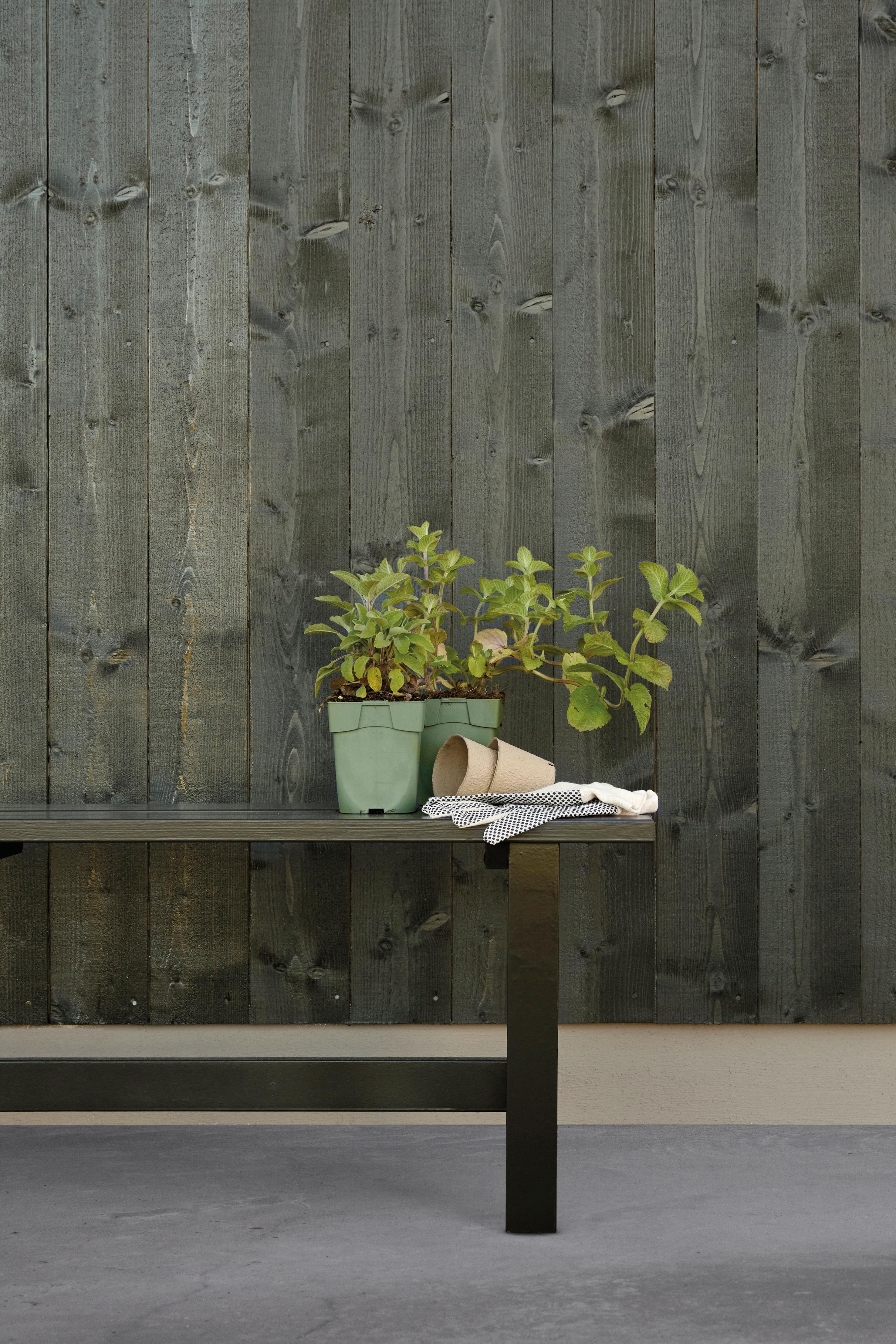 Two potted plants, peat pots, and gardening gloves on a dark table against a wooden fence.