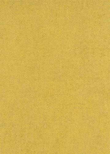 Lys Acacia från Midbec tapeter i multifärg. Från kollektionen Oxygen.