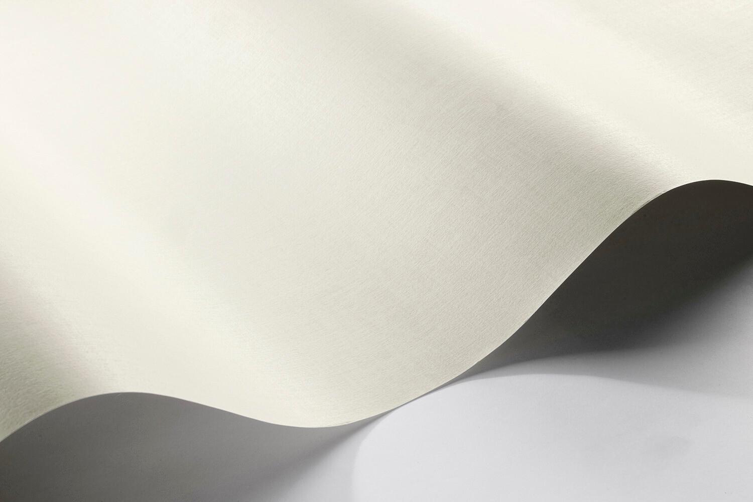 Borosan 21 8636 tapet enfärgad i beige. Från kollektionen Borosan 21. Papper-material.