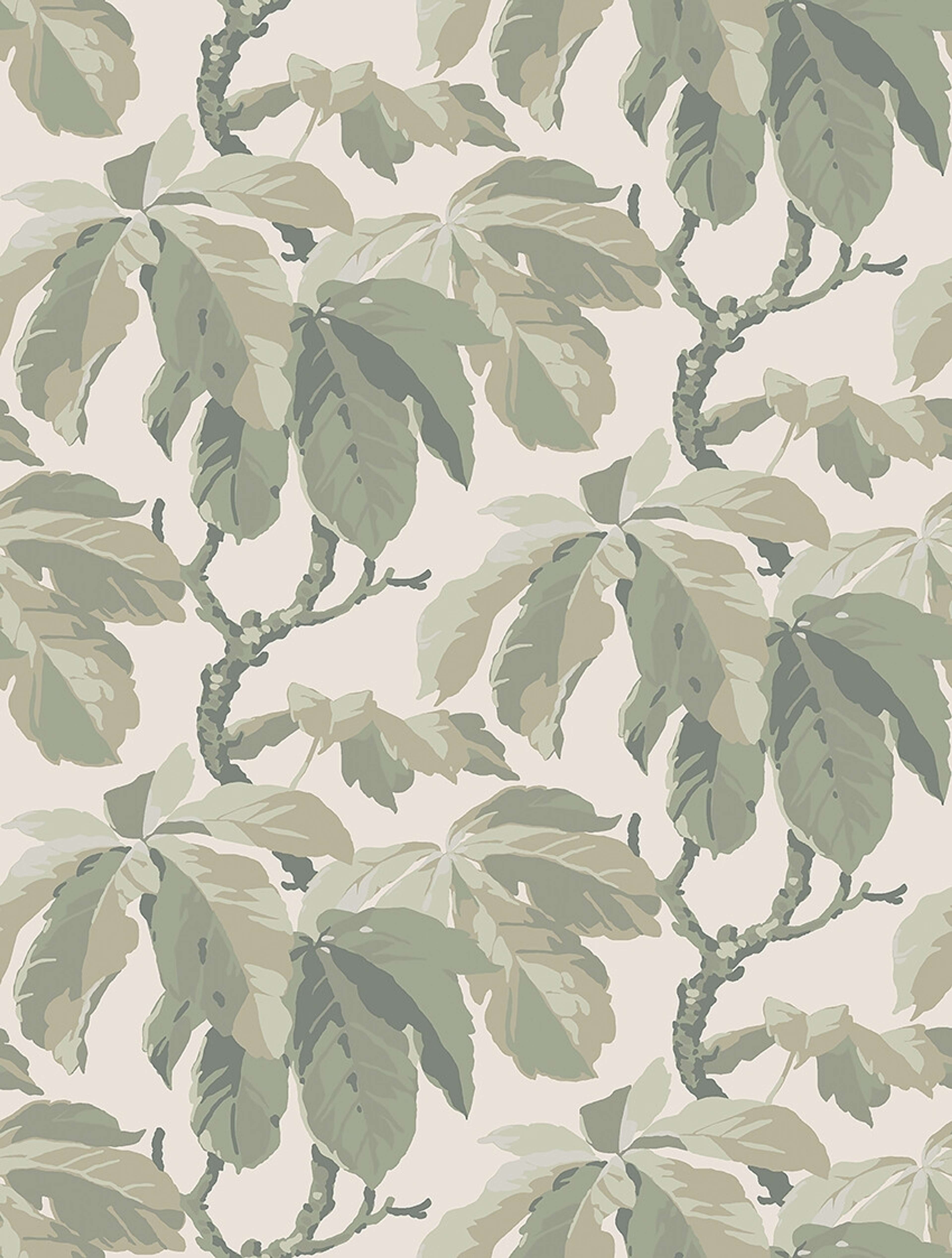 Kastanj tapet med botaniskt mönster i grå. Från kollektionen New Heritage. Nonwoven-material med rak passning.​​​​‌﻿‍﻿​‍​‍‌‍﻿﻿‌﻿​‍‌‍‍‌‌‍‌﻿‌‍‍‌‌‍﻿‍​‍​‍​﻿‍‍​‍​‍‌﻿​﻿‌‍​‌‌‍﻿‍‌‍‍‌‌﻿‌​‌﻿‍‌​‍﻿‍‌‍‍‌‌‍﻿﻿​‍​‍​‍﻿​​‍​‍‌‍‍​‌﻿​‍‌‍‌‌‌‍‌‍​‍​‍​﻿‍‍​‍​‍‌‍‍​‌﻿‌​‌﻿‌​‌﻿​​‌﻿​﻿​﻿‍‍​‍﻿﻿​‍﻿﻿‌﻿‌﻿‌﻿‌﻿‌﻿‌﻿​‍﻿‍‌‍​﻿‌‍﻿﻿‌‍﻿​‌‍﻿﻿‌﻿​‍‌‍​‌‌‍﻿‌‌‍​‌​‍﻿‍‌﻿​﻿‌‍‌‌​‍﻿﻿‌﻿​﻿‌﻿‌​‌﻿‌‌‌‍‌​‌‍‍‌‌‍﻿﻿​‍﻿﻿‌‍‍‌‌‍﻿‍‌﻿‌​‌‍‌‌‌‍﻿‍‌﻿‌​​‍﻿﻿‌‍‌‌‌‍‌​‌‍‍‌‌﻿‌​​‍﻿﻿‌‍﻿‌‌‍﻿﻿‌‍‌​‌‍‌‌​﻿﻿‌‌﻿​​‌﻿​‍‌‍‌‌‌﻿​﻿‌‍‌‌‌‍﻿‍‌﻿‌​‌‍​‌‌﻿‌​‌‍‍‌‌‍﻿﻿‌‍﻿‍​﻿‍﻿‌‍‍‌‌‍‌​​﻿﻿‌‌‍‍‌‌‍﻿‌‌‍​‌‌‍‌﻿‌‍‌‌​‍﻿‌​﻿​﻿​﻿‌‌​﻿‍​‌‍‌​​﻿‍‌​﻿‌‌​﻿​‍​﻿​​‌‍‌‌‌‍‌‍​﻿​‌​﻿‌​‌‍‌​‌‍‌​​﻿‌﻿‌‍​﻿‌‍‌​​﻿​‍​﻿‌‍​﻿​‍​﻿​‍​﻿​﻿​﻿‌‌‌‍​‌​﻿​​​﻿​‌​﻿‌‍​﻿‌​​﻿‌‍​﻿‌‌‌‍‌​‌‍​‌​﻿‌​​﻿‌﻿​﻿​﻿​﻿‍‌​﻿‍‌​﻿​﻿‌‍​‍‌‍​﻿​‍﻿‌​﻿‍​​﻿‌‌​﻿​​‌﻿‍​​﻿​‌​﻿​‌​﻿​‍​﻿​﻿​‍﻿‌‌‍‍‍‌﻿​​‌‍‌﻿​﻿‍﻿‌﻿‌​‌﻿‍‌‌﻿​​‌‍‌‌​﻿﻿‌‌﻿​﻿‌‍​‌‌‍﻿‍‌‍‍‌‌﻿‌​‌﻿‍‌​‍﻿‍‌‍‍‌‌‍﻿‌‌‍​‌‌‍‌﻿‌‍‌‌‌​​‌‌﻿​﻿‌﻿​﻿‌‍‌‌‌﻿‌​​﻿‍﻿‌﻿​​‌‍​‌‌﻿‌​‌‍‍​​﻿﻿‌‌‍​‌‌‍﻿​‌﻿‌​‌‌‌​‌‍‌‌‌﻿‍​‌﻿‌​​﻿﻿﻿‌‍​‍‌‍​‌‌﻿​﻿‌‍‌‌‌‌‌‌‌﻿​‍‌‍﻿​​﻿﻿‌‌‍‍​‌﻿‌​‌﻿‌​‌﻿​​‌﻿​﻿​‍‌‌​﻿​﻿‌​​‌​‍‌‌​﻿​‍‌​‌‍​‍‌‌​﻿​‍‌​‌‍‌﻿‌﻿‌﻿‌﻿‌﻿‌﻿​‍﻿‍‌‍​﻿‌‍﻿﻿‌‍﻿​‌‍﻿﻿‌﻿​‍‌‍​‌‌‍﻿‌‌‍​‌​‍﻿‍‌﻿​﻿‌‍‌‌​‍‌‌​﻿​‍‌​‌‍‌﻿​﻿‌﻿‌​‌﻿‌‌‌‍‌​‌‍‍‌‌‍﻿﻿​‍‌‍‌‍‍‌‌‍‌​​﻿﻿‌‌‍‍‌‌‍﻿‌‌‍​‌‌‍‌﻿‌‍‌‌​‍﻿‌​﻿​﻿​﻿‌‌​﻿‍​‌‍‌​​﻿‍‌​﻿‌‌​﻿​‍​﻿​​‌‍‌‌‌‍‌‍​﻿​‌​﻿‌​‌‍‌​‌‍‌​​﻿‌﻿‌‍​﻿‌‍‌​​﻿​‍​﻿‌‍​﻿​‍​﻿​‍​﻿​﻿​﻿‌‌‌‍​‌​﻿​​​﻿​‌​﻿‌‍​﻿‌​​﻿‌‍​﻿‌‌‌‍‌​‌‍​‌​﻿‌​​﻿‌﻿​﻿​﻿​﻿‍‌​﻿‍‌​﻿​﻿‌‍​‍‌‍​﻿​‍﻿‌​﻿‍​​﻿‌‌​﻿​​‌﻿‍​​﻿​‌​﻿​‌​﻿​‍​﻿​﻿​‍﻿‌‌‍‍‍‌﻿​​‌‍‌﻿​‍‌‍‌﻿‌​‌﻿‍‌‌﻿​​‌‍‌‌​﻿﻿‌‌﻿​﻿‌‍​‌‌‍﻿‍‌‍‍‌‌﻿‌​‌﻿‍‌​‍﻿‍‌‍‍‌‌‍﻿‌‌‍​‌‌‍‌﻿‌‍‌‌‌​​‌‌﻿​﻿‌﻿​﻿‌‍‌‌‌﻿‌​​‍‌‍‌﻿​​‌‍​‌‌﻿‌​‌‍‍​​﻿﻿‌‌‍​‌‌‍﻿​‌﻿‌​‌‌‌​‌‍‌‌‌﻿‍​‌﻿‌​​‍‌‍‌﻿​​‌‍‌‌‌﻿​‍‌﻿​﻿‌﻿​​‌‍‌‌‌‍​﻿‌﻿‌​‌‍‍‌‌﻿‌‍‌‍‌‌​﻿﻿‌‌﻿​​‌﻿‌‌‌‍​‍‌‍﻿​‌‍‍‌‌﻿​﻿‌‍‍​‌‍‌‌‌‍‌​​‍​‍‌﻿﻿‌