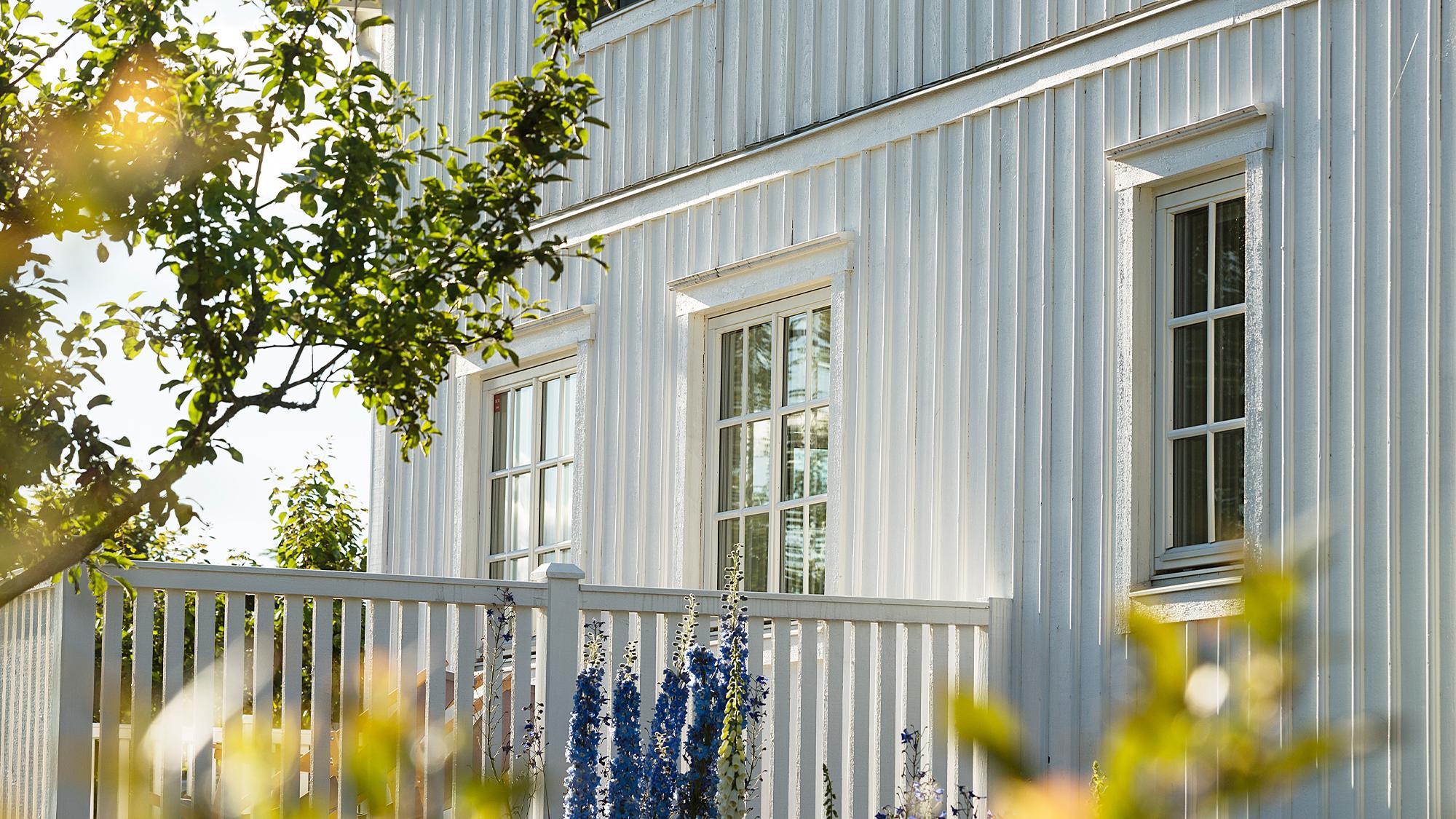 White house with vertical siding, a white fence, blue flowers, and green foliage, bathed in sunlight.
