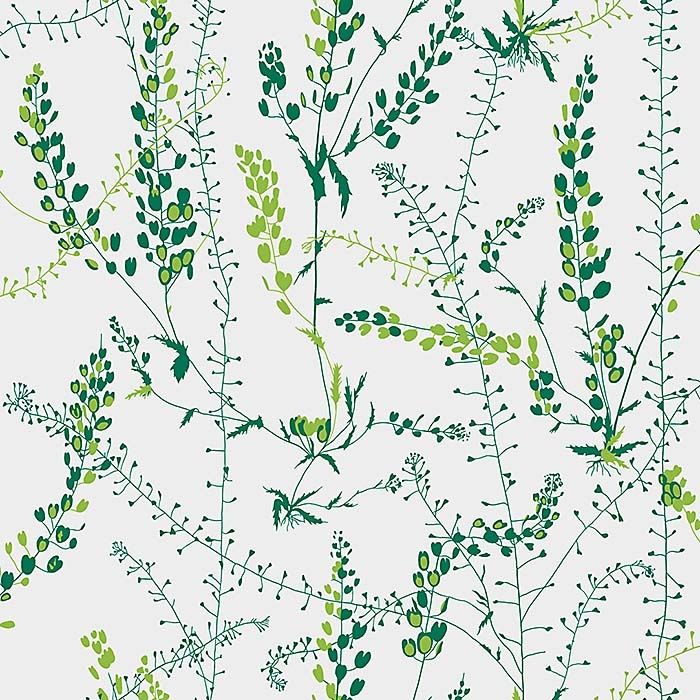 Bladranker tapet från Boråstapeter med botaniskt, retro mönster i vit och grön. Från kollektionen Scandinavian Designers II. Nonwoven-material med förskjuten passning.