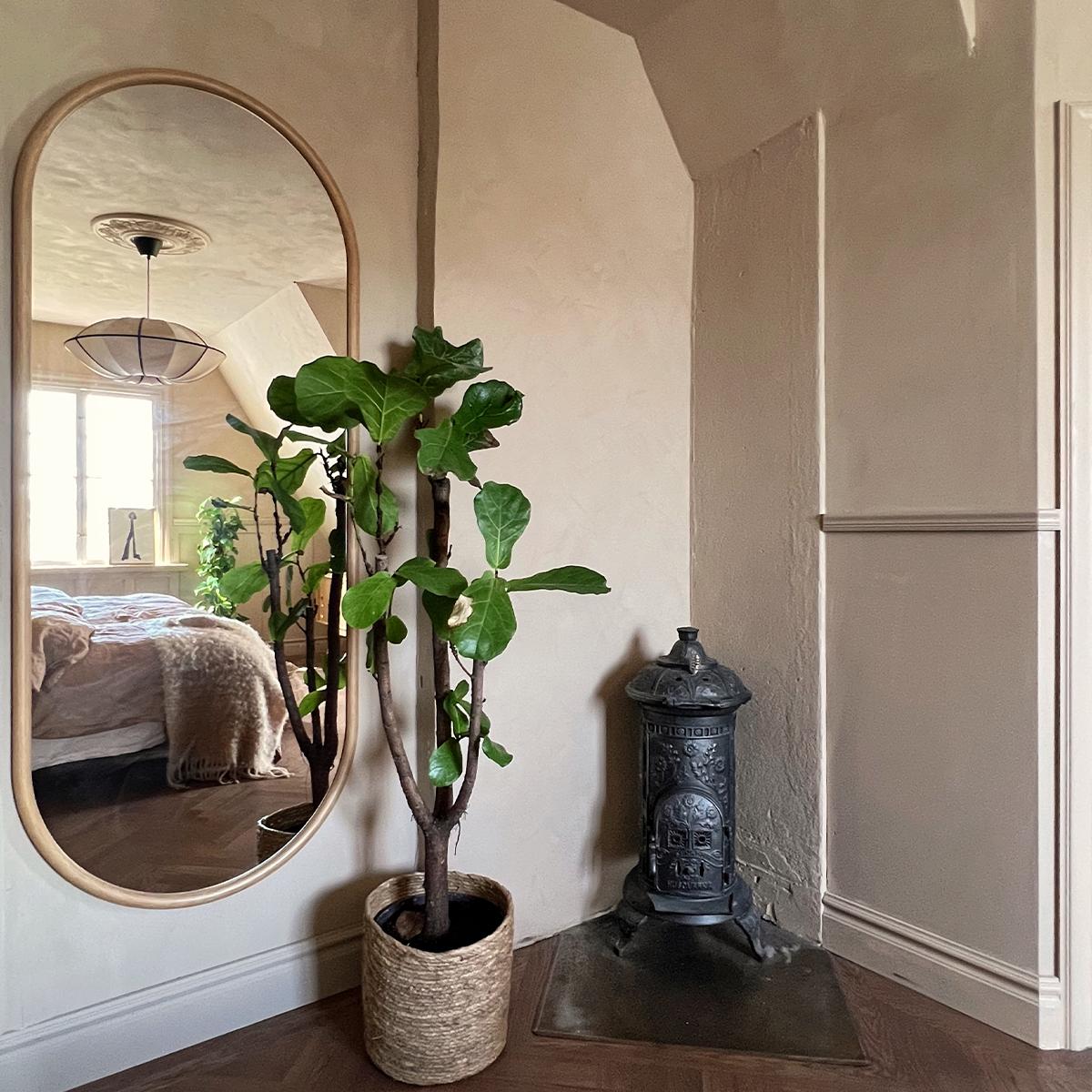A room corner featuring an oval mirror reflecting a bed, a large fiddle-leaf fig plant in a basket, and a small, ornate cast iron stove.